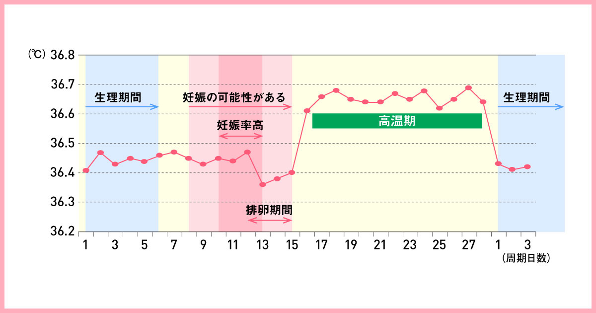 基礎 体温 グラフ 排卵 日